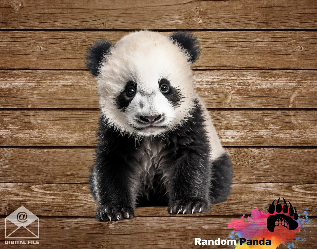 Digital Transparent Baby Panda Photo – Random Panda