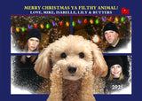 Funny Dog with Home Alone Movie family photos and Christmas lights on a blue background
