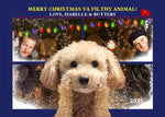 Funny Dog in front of Christmas lights with text 'Merry Christmas Ya Filthy Animal!' Home Alone Movie Xmas Card