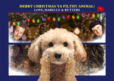Funny Dog in front of Christmas lights with text 'Merry Christmas Ya Filthy Animal!' Home Alone Movie Xmas Card