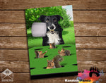 Funny Dog Portrait, Whack a Squirrel Poster